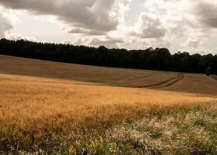 Appartement Hus 42 *